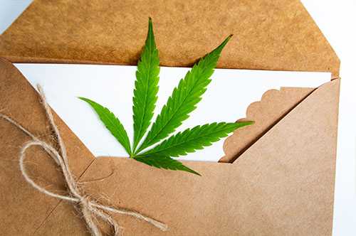 Buy Discounted Bulk Weed Online In Canada - Weeddeal.ca - Canada's premier Online Cannabis dispensary