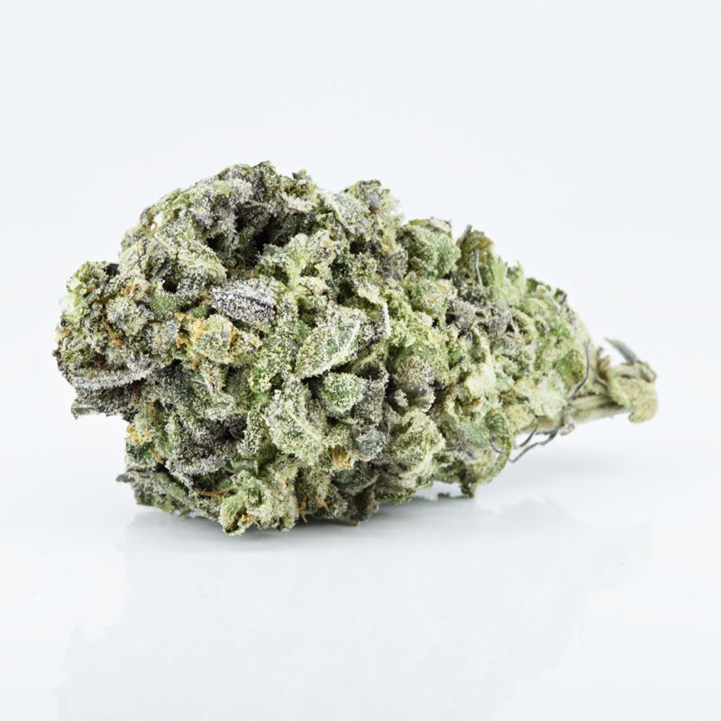 Buy Discounted Bulk Weed Online In Canada - Weeddeal.ca - Canada's premier Online Cannabis dispensary
