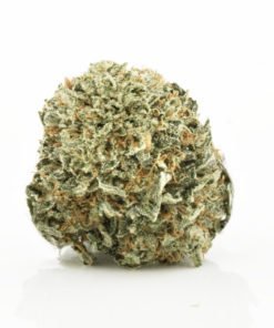 Buy Discounted Bulk Weed Online In Canada - Weeddeal.ca - Canada's premier Online Cannabis dispensary