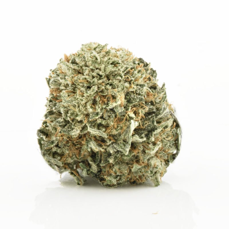 Buy Discounted Bulk Weed Online In Canada - Weeddeal.ca - Canada's premier Online Cannabis dispensary