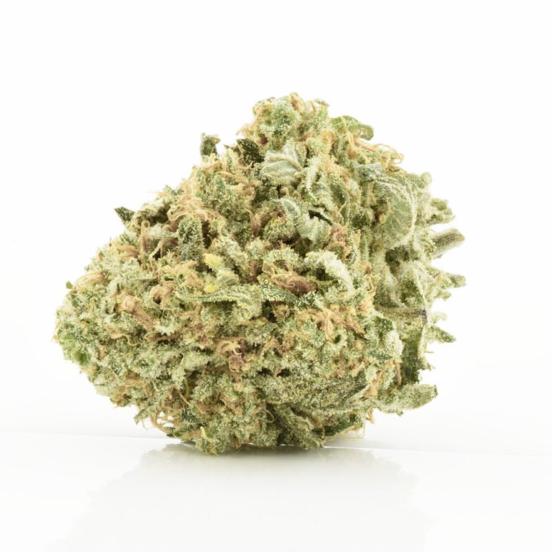 Sativa - Buy Discounted Bulk Weed Online In Canada - Weeddeal.ca