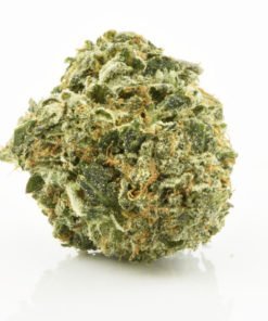Buy Discounted Bulk Weed Online In Canada - Weeddeal.ca - Canada's premier Online Cannabis dispensary