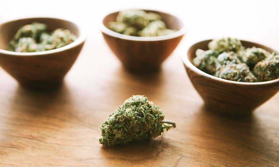 Buy Discounted Bulk Weed Online In Canada - Weeddeal.ca - Canada's premier Online Cannabis dispensary