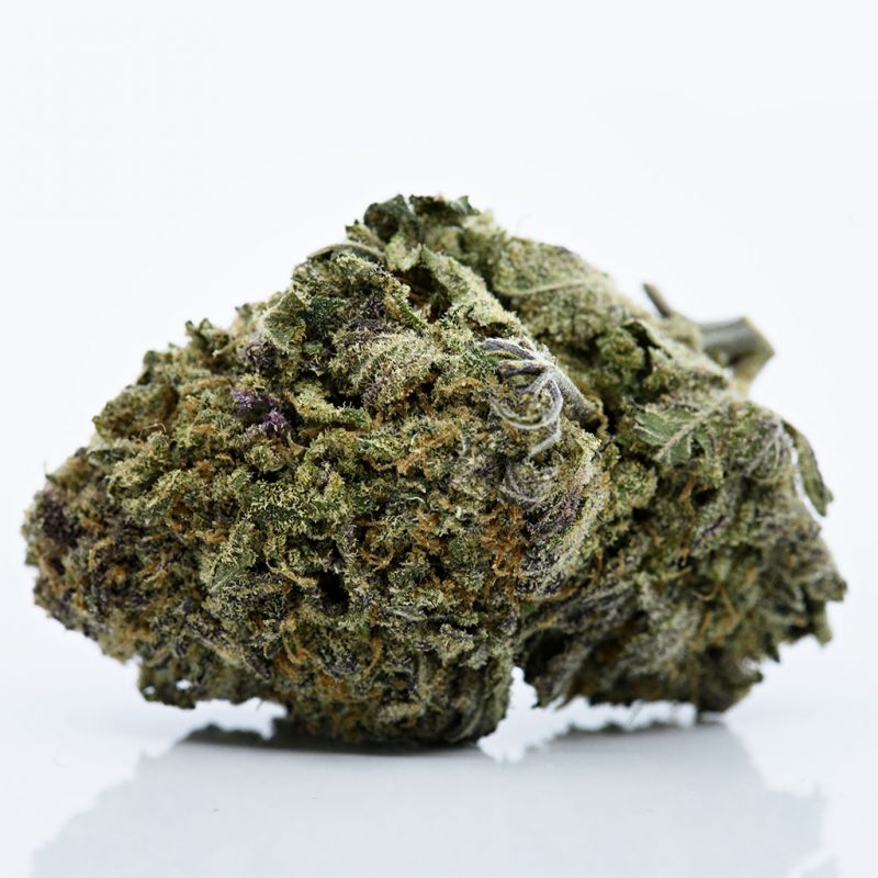 Buy Discounted Bulk Weed Online In Canada - Weeddeal.ca - Canada's premier Online Cannabis dispensary