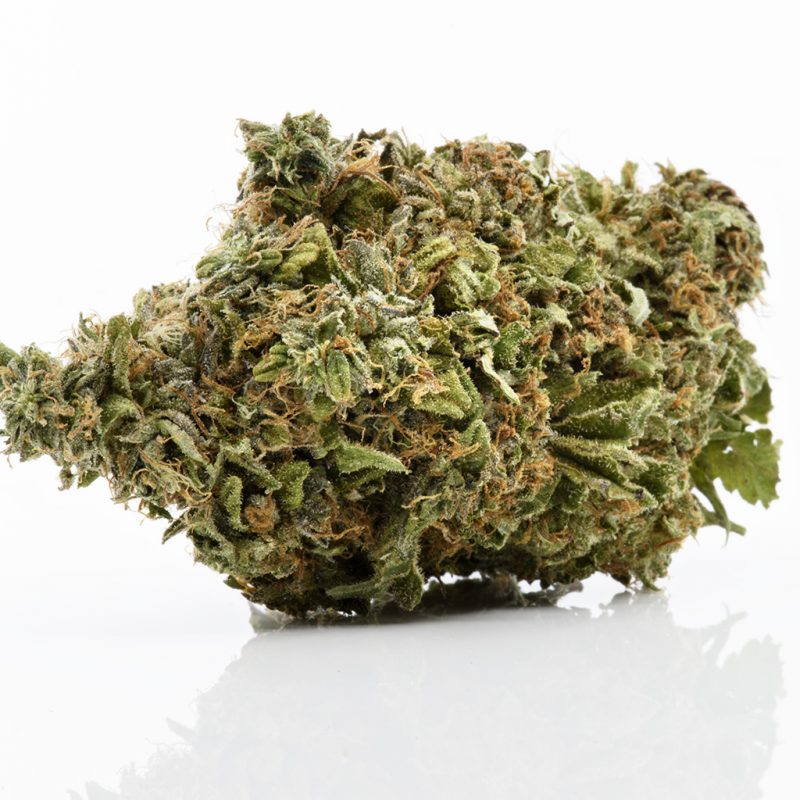 Buy Discounted Bulk Weed Online In Canada - Weeddeal.ca - Canada's premier Online Cannabis dispensary