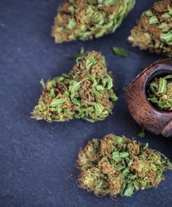 Sativa