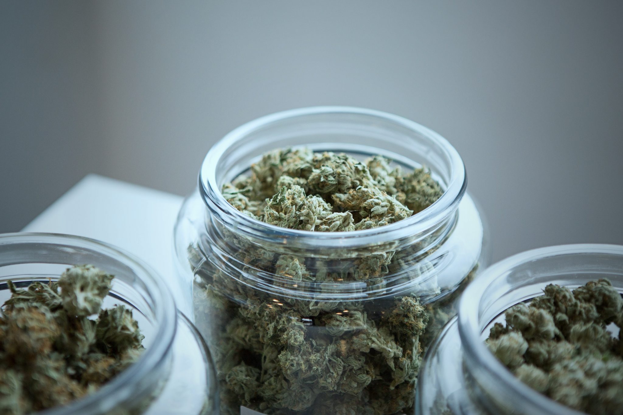 Hybrid - Buy Discounted Bulk Weed Online In Canada - Weeddeal.ca