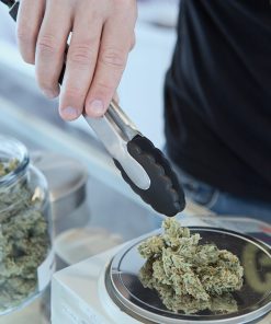$79 Oz
