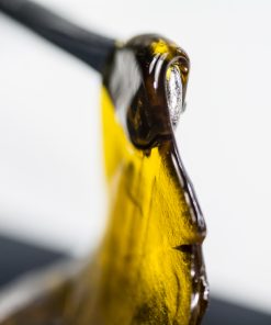 Concentrates