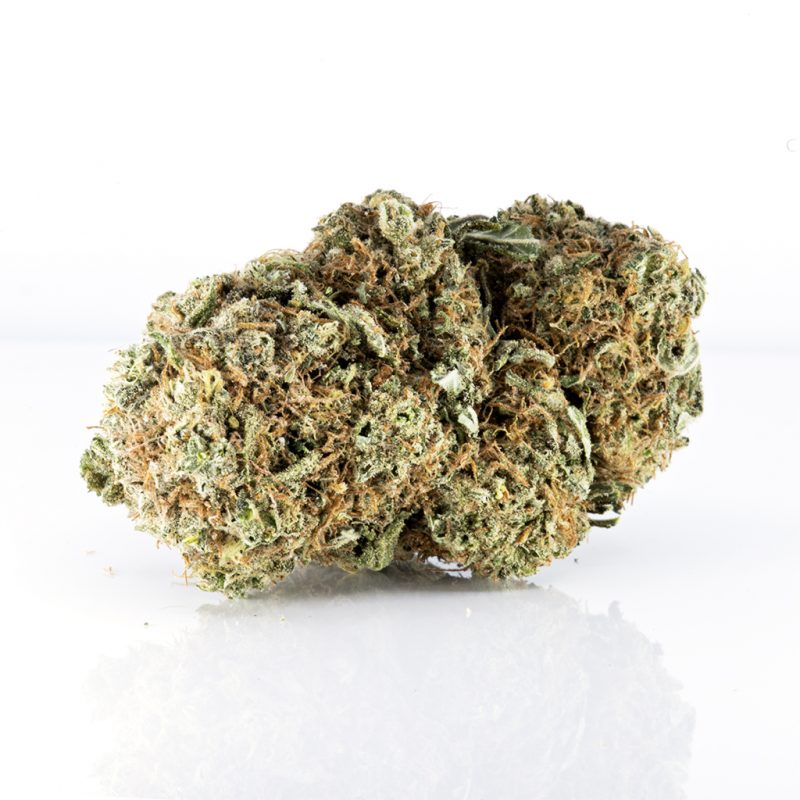Sativa - Buy Discounted Bulk Weed Online In Canada - Weeddeal.ca