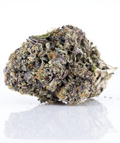 Purple Violator