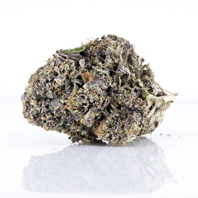 Purple Violator
