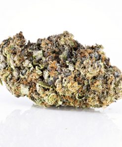 Black Tuna