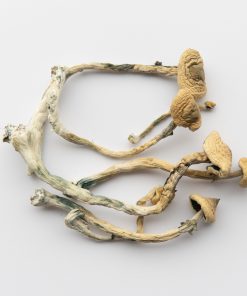 Psilocybin