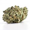 Dutch Treat