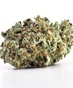 Dutch Treat