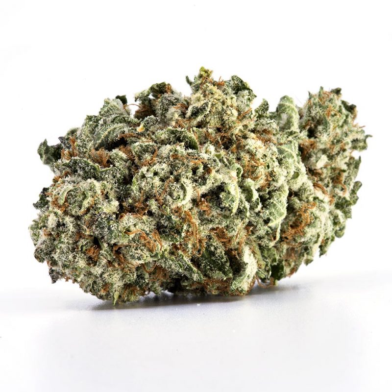Dutch Treat