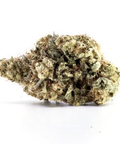 Cherry Bomb