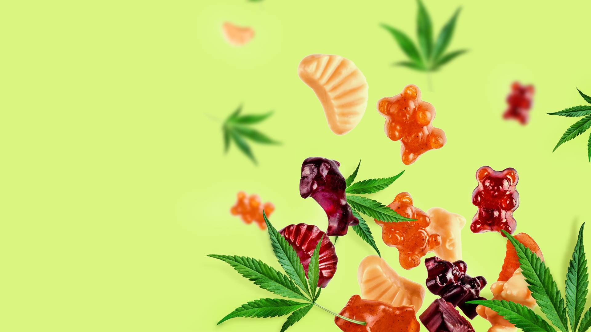 bottom home page image banner