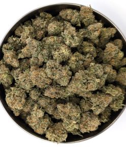 Gorilla Cookies - Discount Ounces