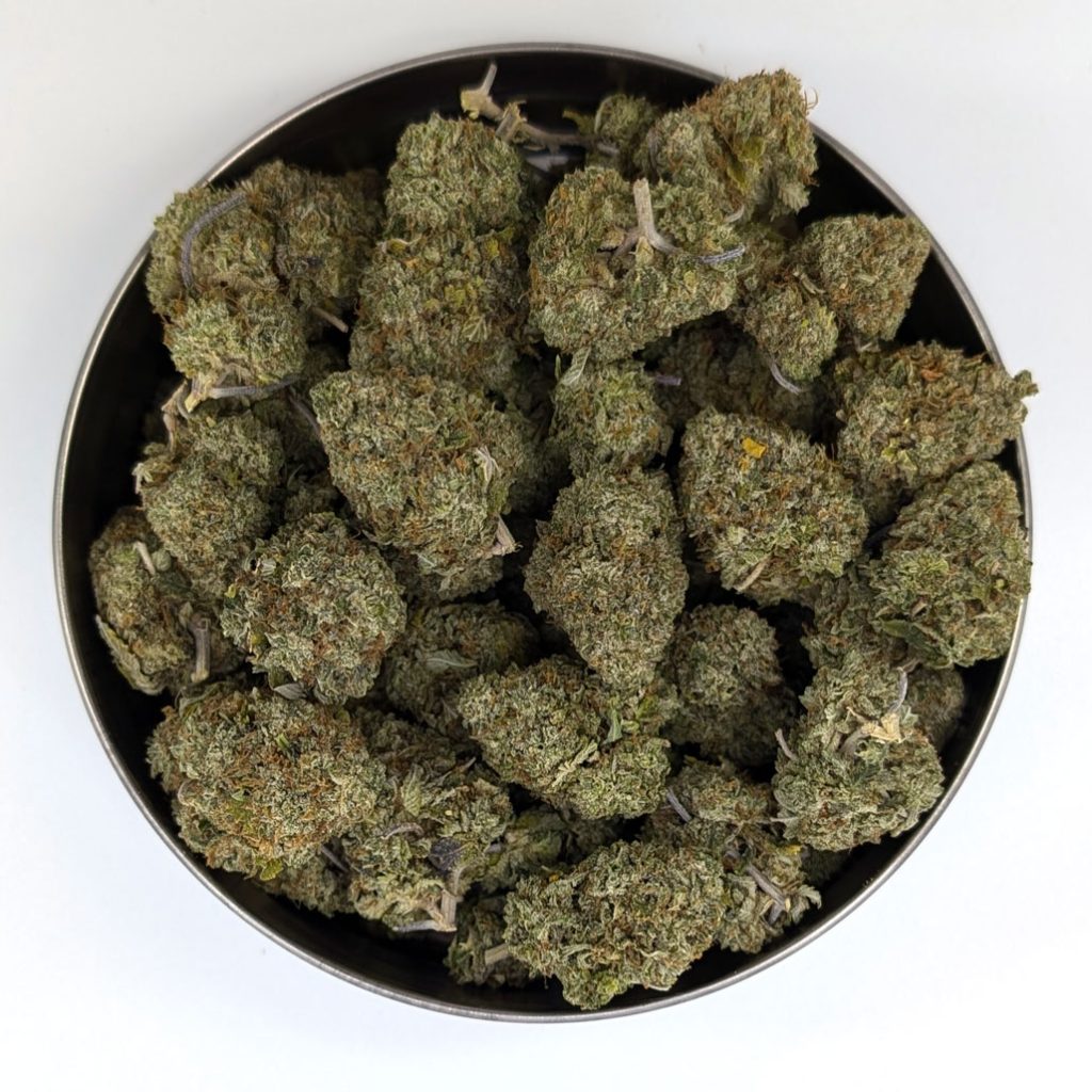 Rockstar - Cheap Oz